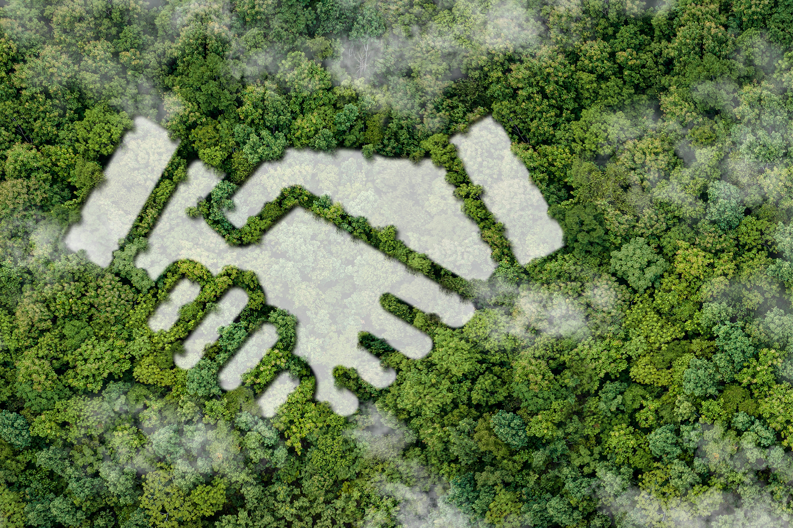 shaking hands in trees